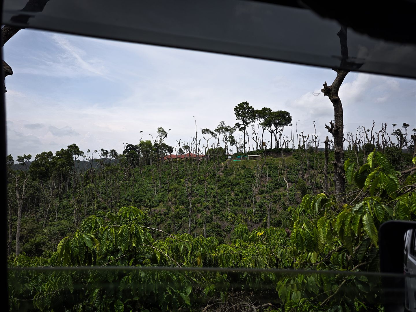 Estate tour inside a jeep at Wodgal Estate